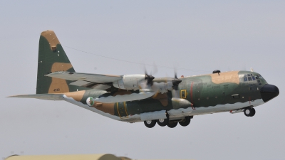 Photo ID 75465 by Peter Terlouw. Algeria Air Force Lockheed C 130H Hercules L 382, 7T WHJ