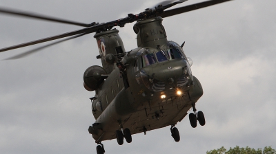 Photo ID 78621 by Paul Newbold. UK Air Force Boeing Vertol Chinook HC2A CH 47D, ZH895