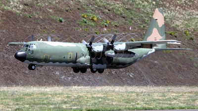 Photo ID 78758 by Pagoda Troop. Portugal Air Force Lockheed C 130H 30 Hercules L 382, 16806