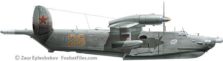 Beriev Be-12 Chaika 'Mail'