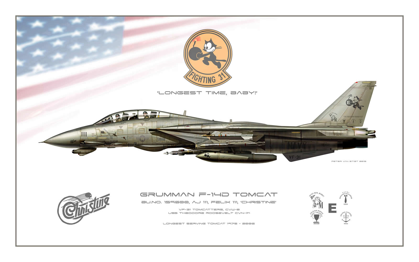 VF-31 Christine F-14 Tomcat Profile