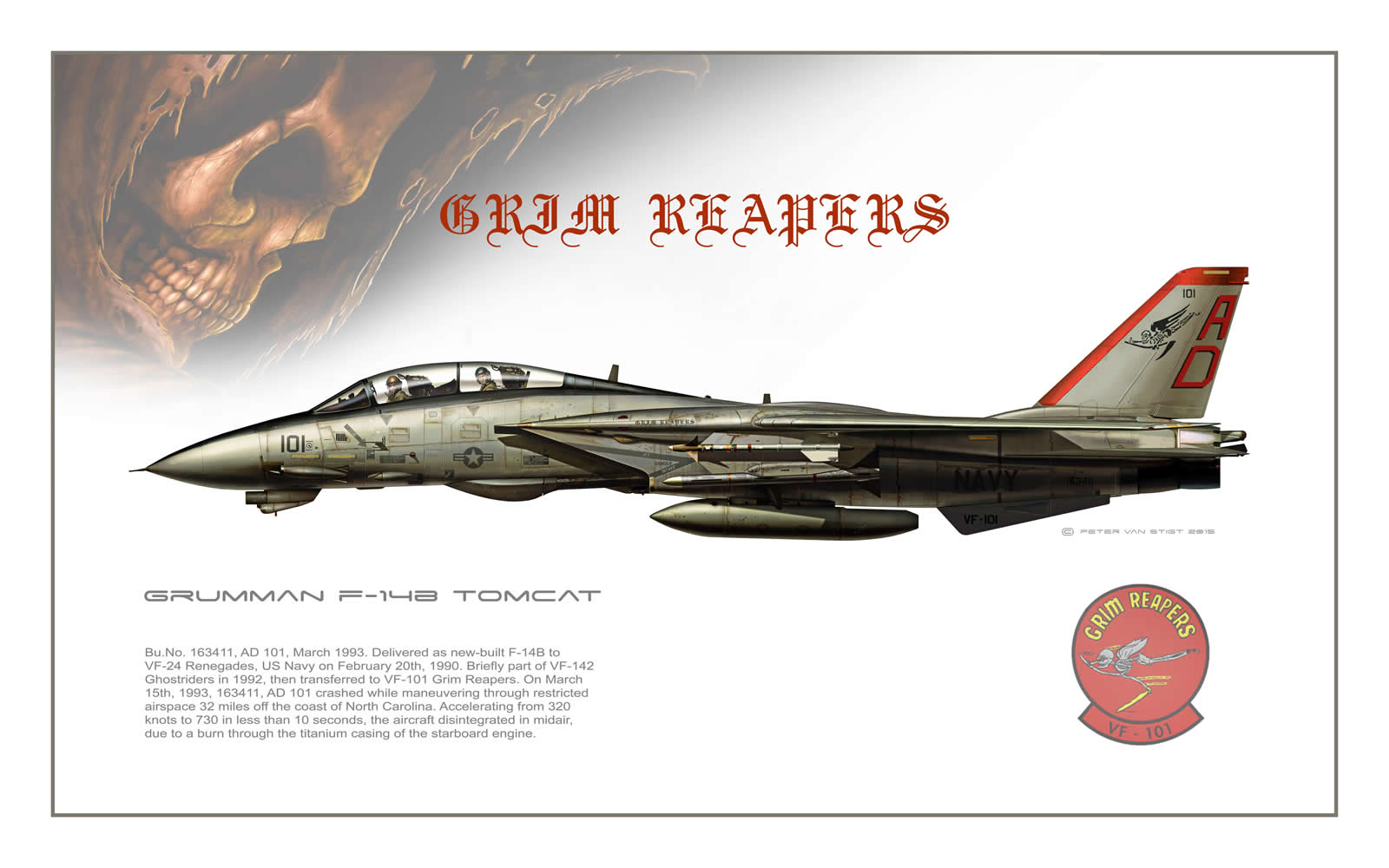 VF-101 Grim Reapers F-14B Tomcat Profile