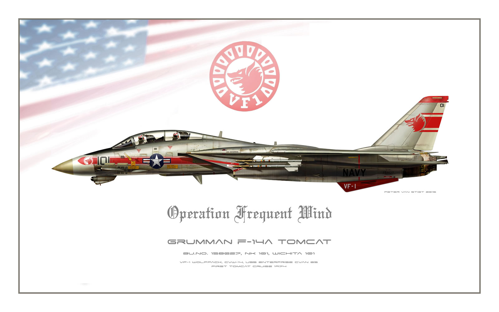 VF-1 Wolfpack F-14 Tomcat Profile