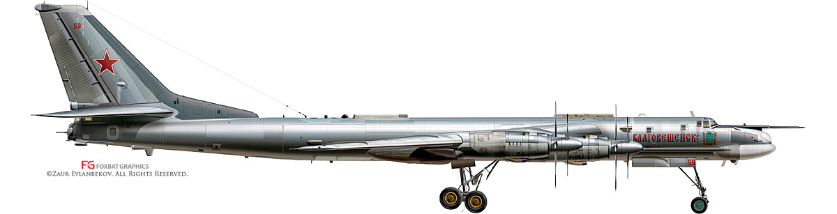 Tu-95MS Profile